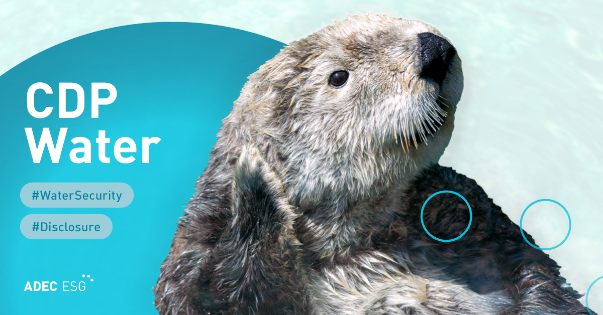 Sample Blog w/ 95% WP Image Compression Config