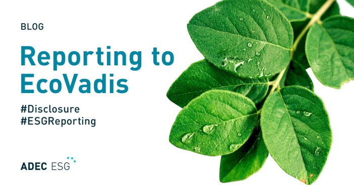 20241127_ESG_Blog_EcoVadis-1