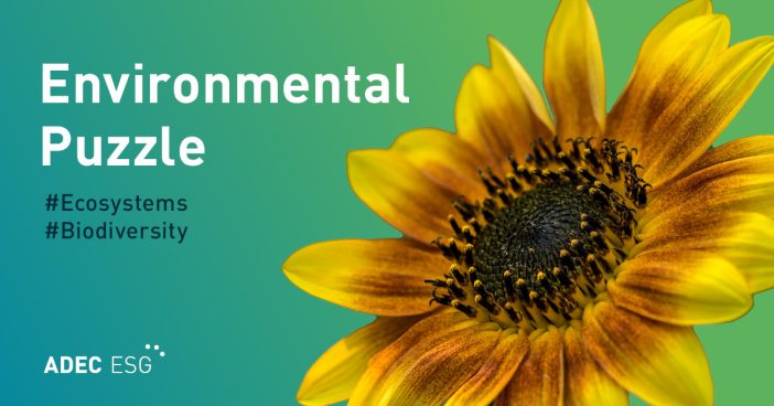 20250414_ESG_Blog_Environmental-Puzzle_Image_02