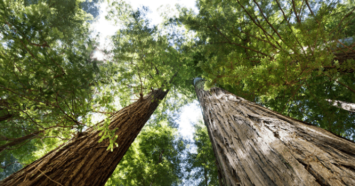 5-Top-Tips-for-Completing-Your-CDP-Response-min