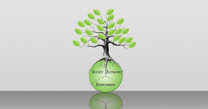 Sustainability_SEE_Tree_Logo-resized-600