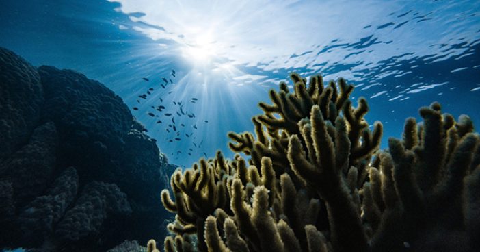 blue-economy-ocean-reef_1200x628