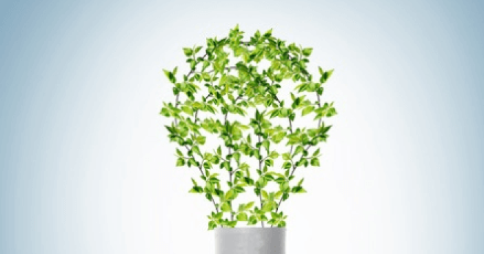 event-sustainability-thumb