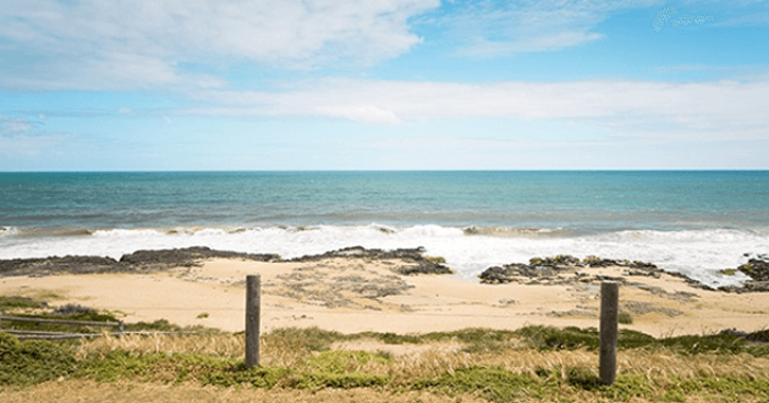 graphicstock-LOW-Louisiana-659x