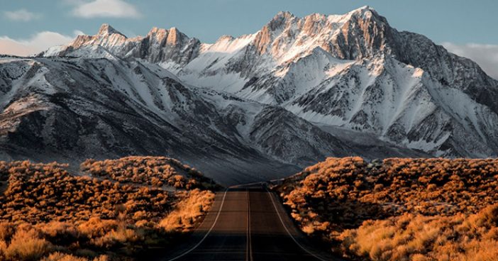 road_to_cdp_management_leadership_1200x628