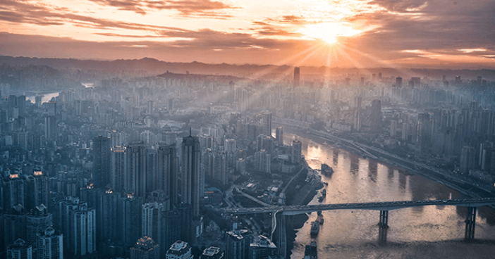 the-roaming-platypus-310824-unsplash-659x